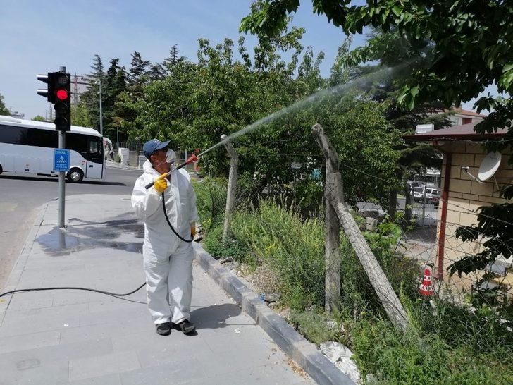 Haşere ve sineklere karşı ilaçlama çalışması yapılıyor G1