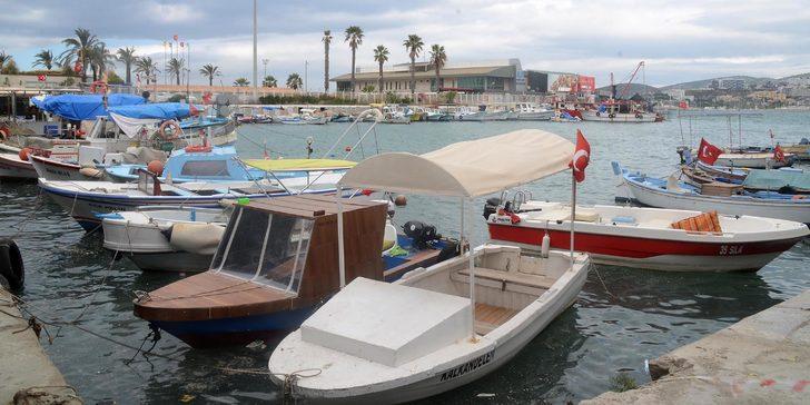 Kuşadası'nda zehirli Aslan balığı görüldü G4