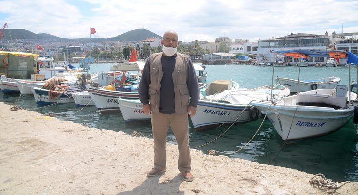 Kuşadası'nda zehirli Aslan balığı görüldü G5