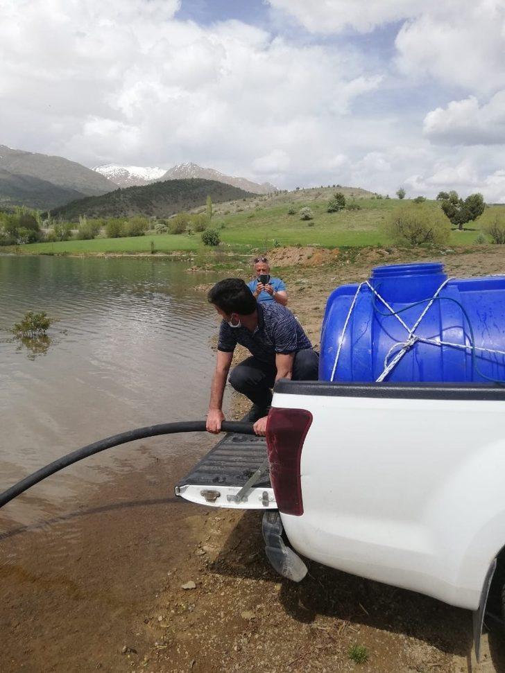 Yeniköy göletine 40 bin sazan yavrusu bırakıldı G2