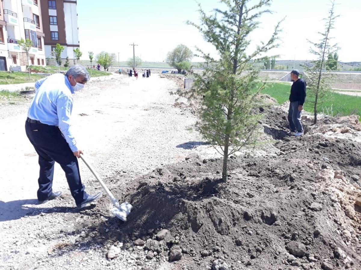 Altıntaş&rsquo;ta ağa&ccedil;landırma &ccedil;alışmaları