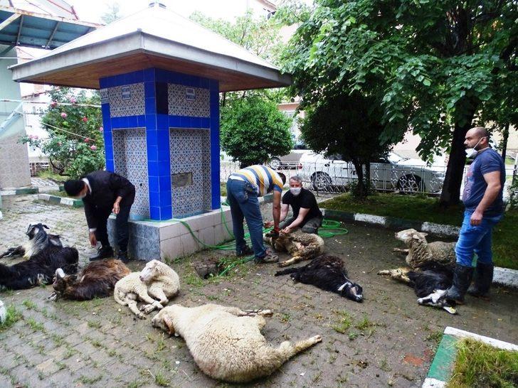Mahalle halkı “Koronavirüs bitsin” diye kurban kesti G1