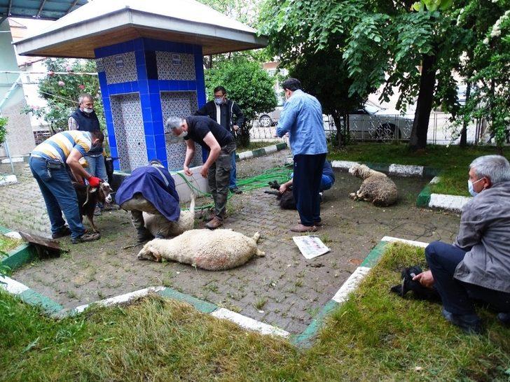 Mahalle halkı “Koronavirüs bitsin” diye kurban kesti G2