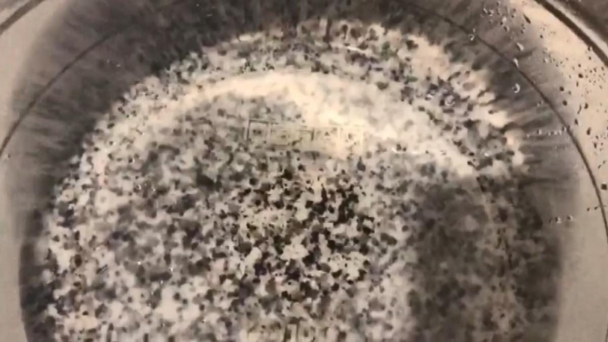 Temizlemek i&ccedil;in s&ouml;kt&uuml;ğ&uuml; musluk filtresinde y&uuml;zlerce sinek g&ouml;r&uuml;nce şaşkına d&ouml;nd&uuml;