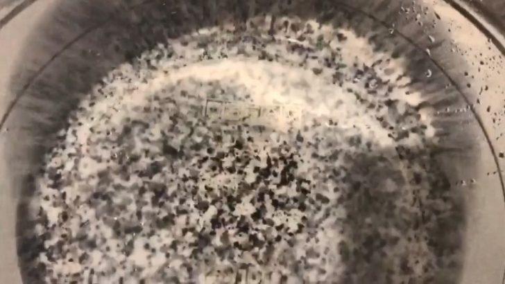 Temizlemek için söktüğü musluk filtresinde yüzlerce sinek görünce şaşkına döndü G1