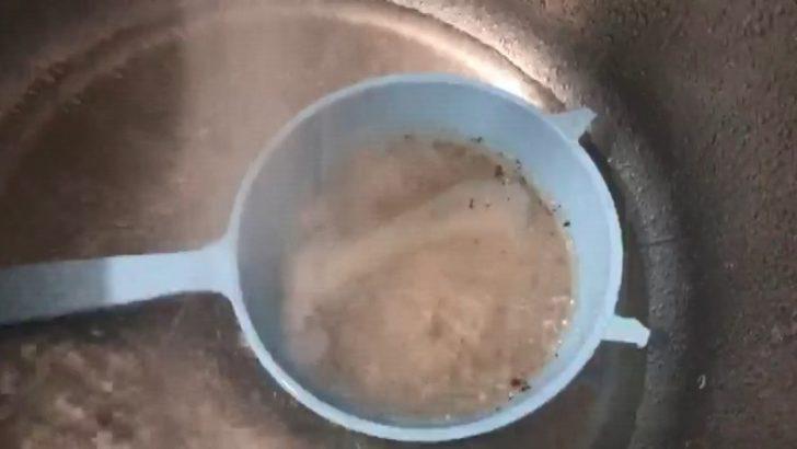 Temizlemek için söktüğü musluk filtresinde yüzlerce sinek görünce şaşkına döndü G3