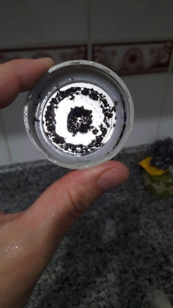 Temizlemek için söktüğü musluk filtresinde yüzlerce sinek görünce şaşkına döndü G5