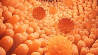 En Detaylı Dizanteri Rehberi: Nedir? Belirtileri ve Amipli Dizanteri