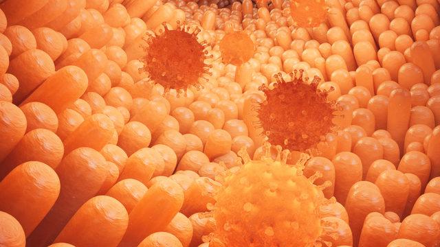 En Detaylı Dizanteri Rehberi: Nedir? Belirtileri ve Amipli Dizanteri