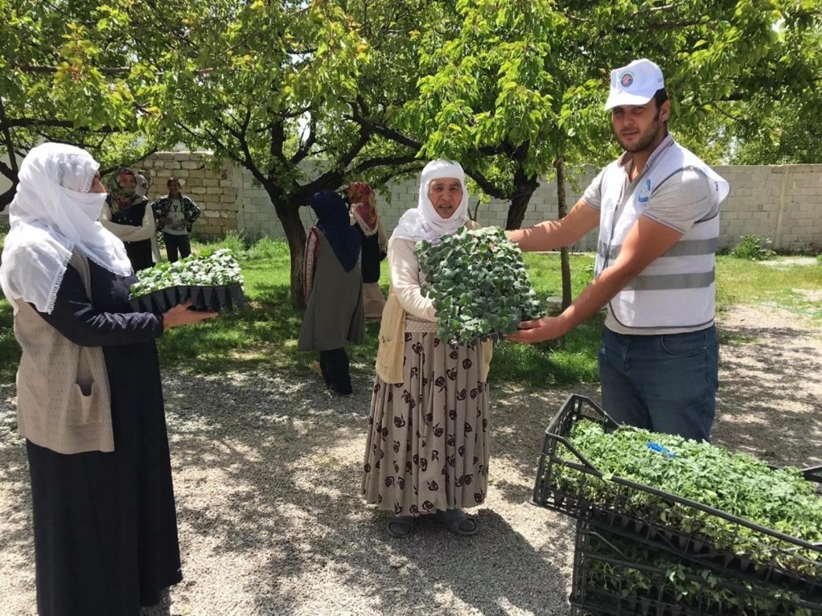 Edremit&rsquo;te &ccedil;ift&ccedil;ilere 170 bin sebze fidesi dağıtıldı