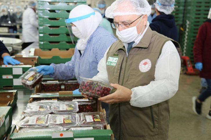 Bursa’nın ilk kiraz hasadı Almanya yolcusu G2