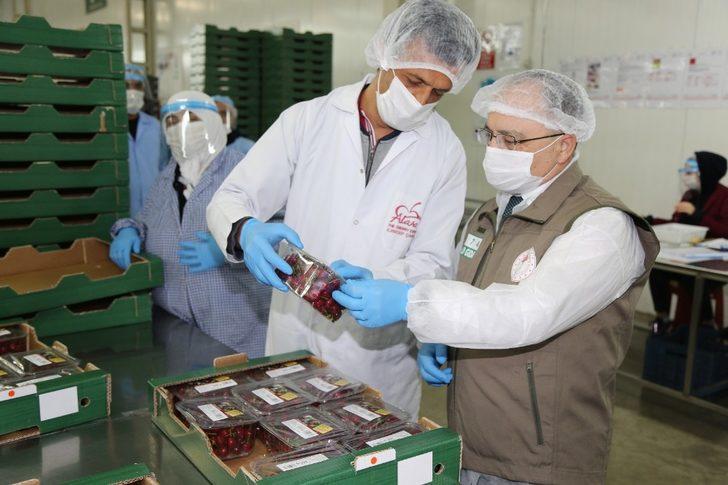 Bursa’nın ilk kiraz hasadı Almanya yolcusu G4