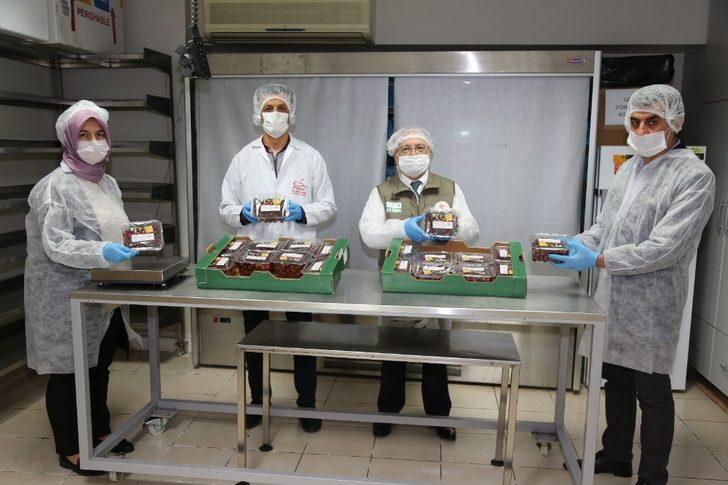 Bursa’nın ilk kiraz hasadı Almanya yolcusu G5