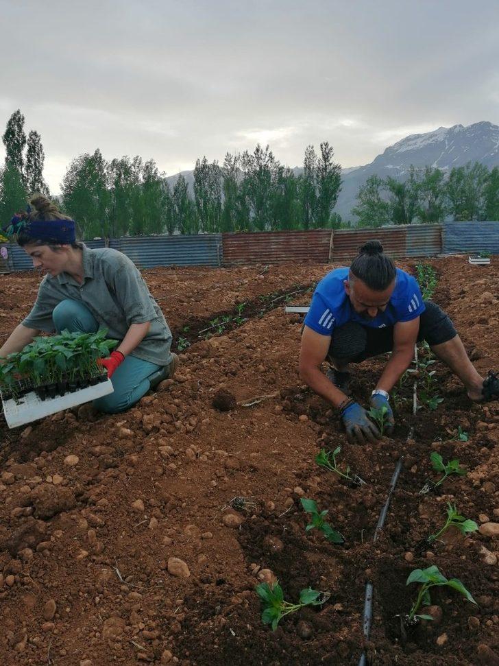Ovacık’ta 10 bin fide toprakla buluştu G4