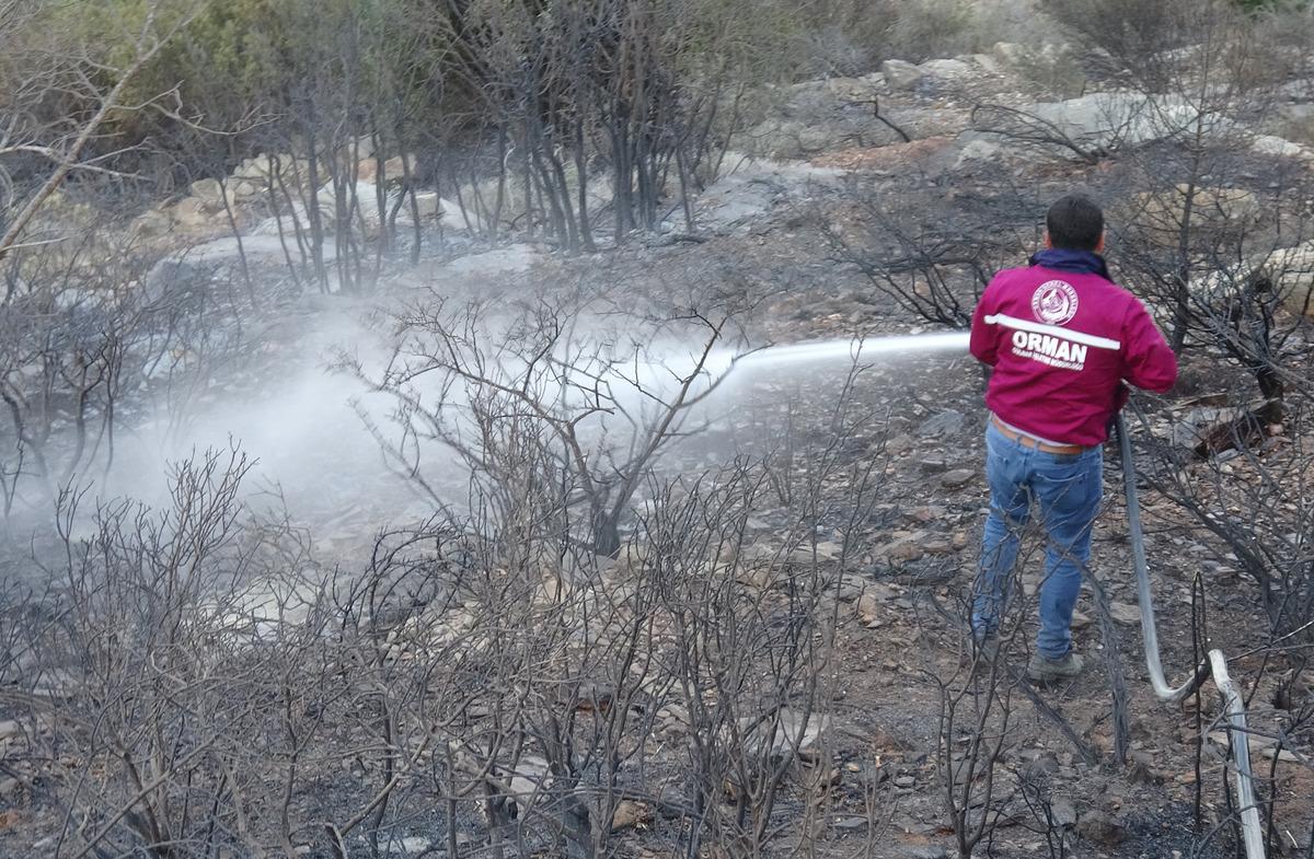 Mersin'de orman yangını! 3 hektar zarar g&ouml;rd&uuml;