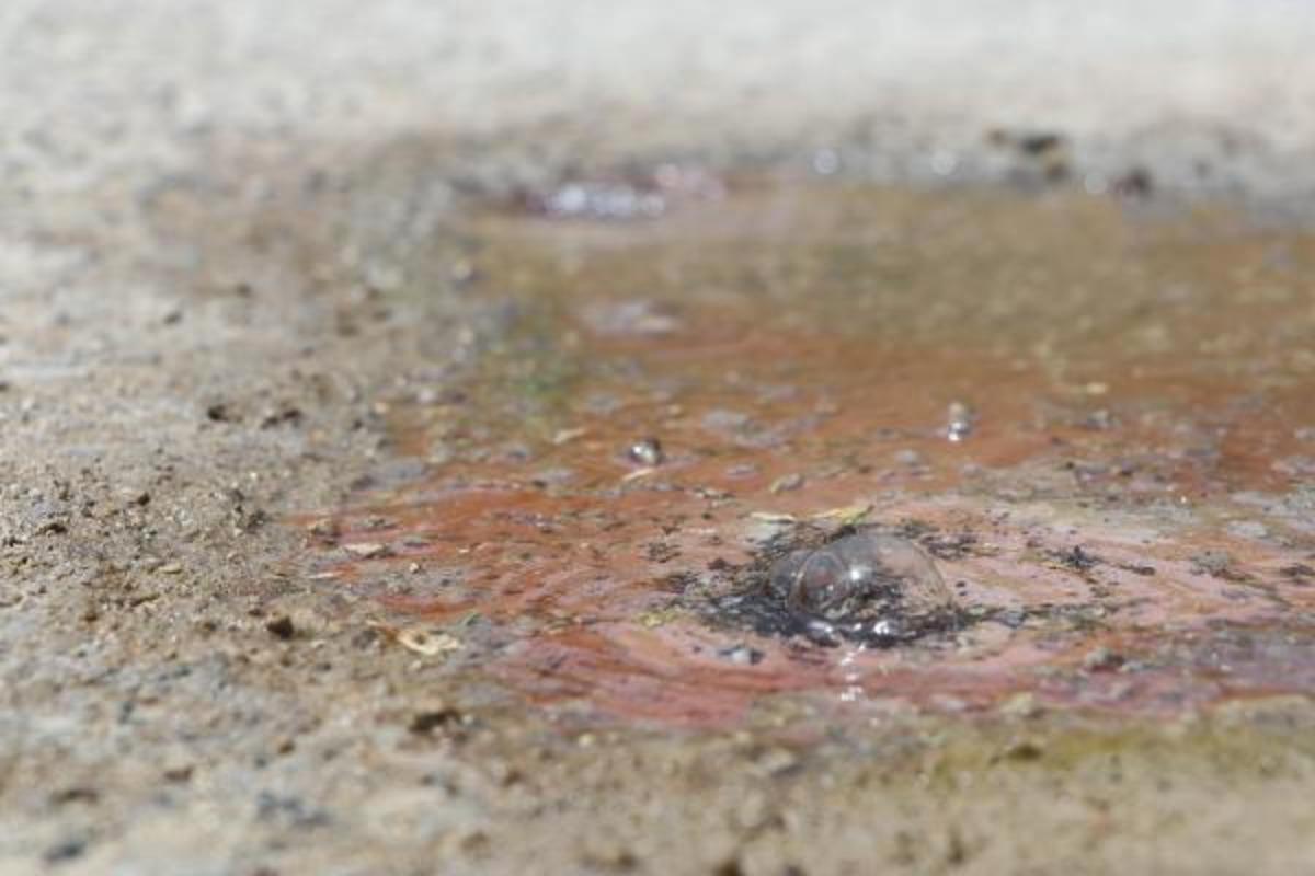 Denizli'de sıcak su kaynağı asfaltı deldi