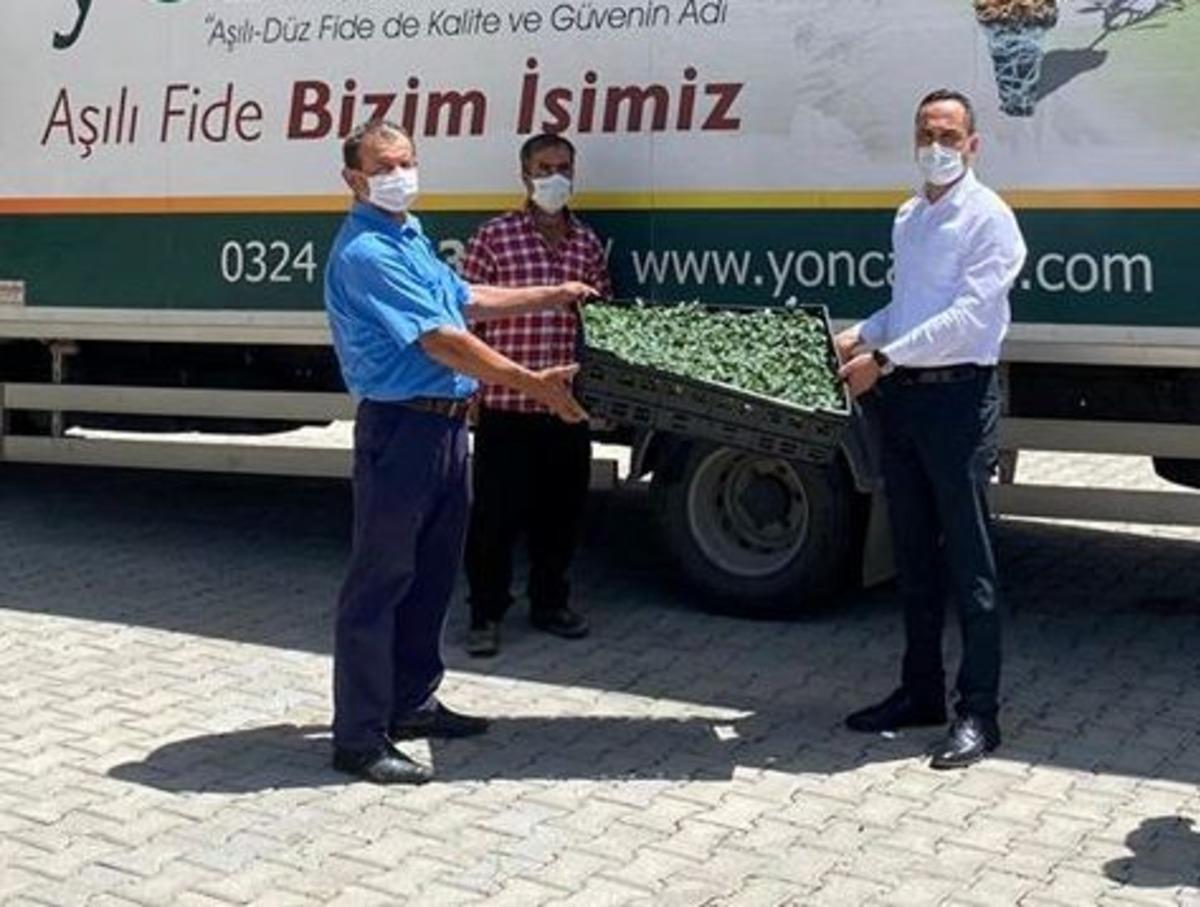 D&uuml;zi&ccedil;i&rsquo;nde 35 &ccedil;ift&ccedil;iye 73 bin domates fidesi dağıtıldı