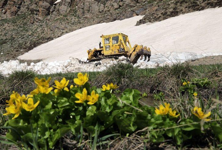 Van Büyükşehir belediyesi, atlarla ulaşımı sağlanan mezra yollarını açtı G1