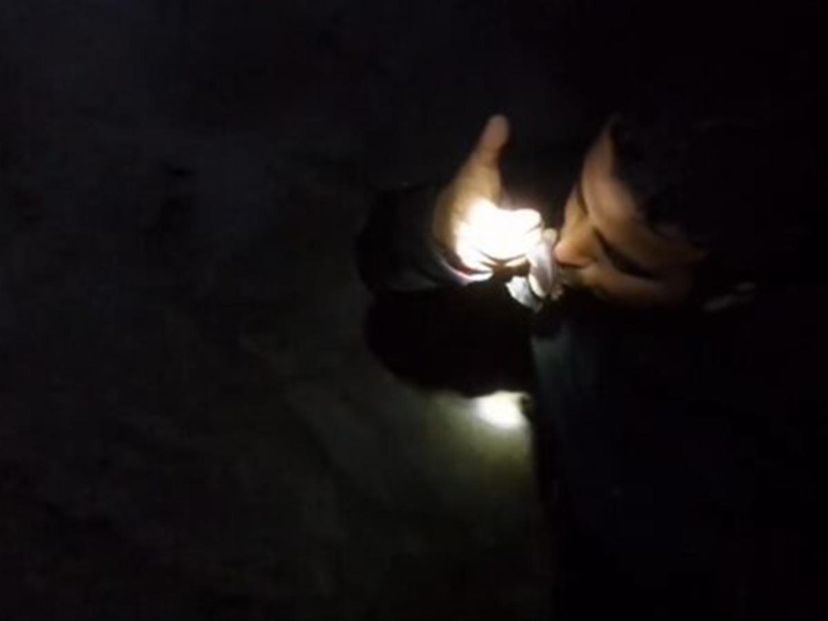 G&ouml;r&uuml;nt&uuml;ler T&uuml;rkiye'den! Mağaraya girip yarasayı &ouml;pt&uuml;