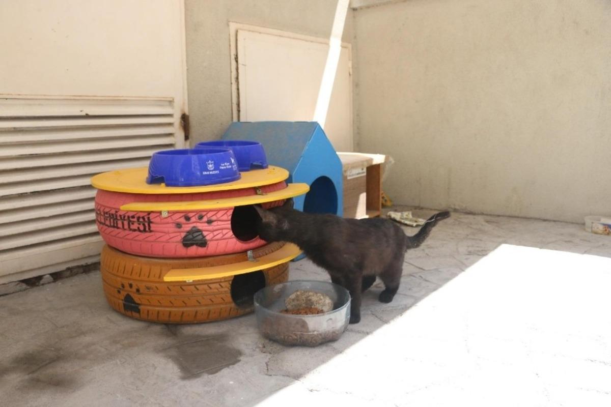 Konak&rsquo;ta can dostlara da bayram hediyesi