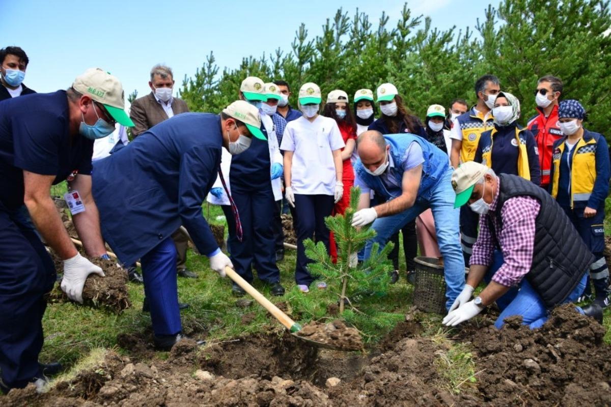 Sağlık &ccedil;alışanları i&ccedil;in bin fidan dikildi