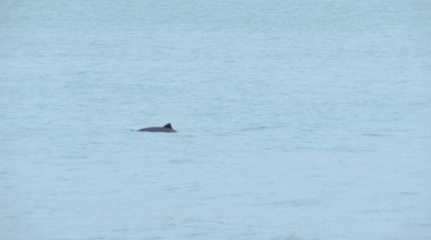 Yer: İstanbul Boğazı! B&ouml;yle g&ouml;r&uuml;nt&uuml;lendiler