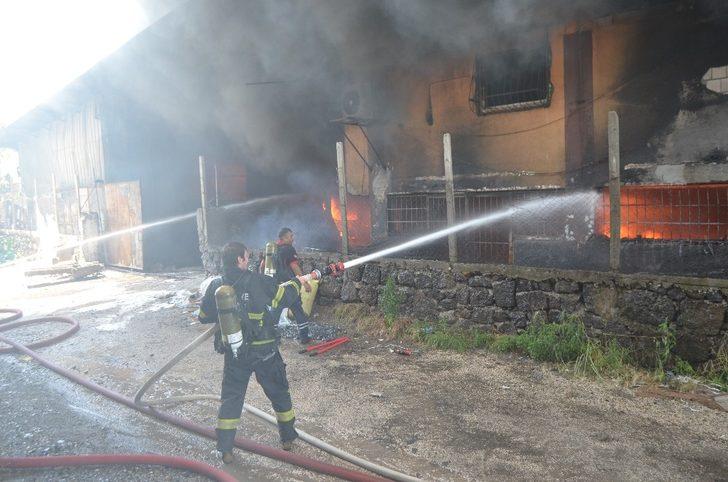 Osmaniye’de 3 iş yeri yandı, 7 itfaiye eri dumandan etkilendi G3
