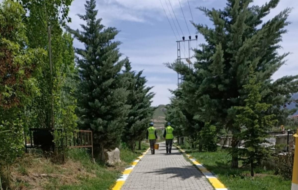 Van&rsquo;daki mezarlıklarda peyzaj &ccedil;alışması