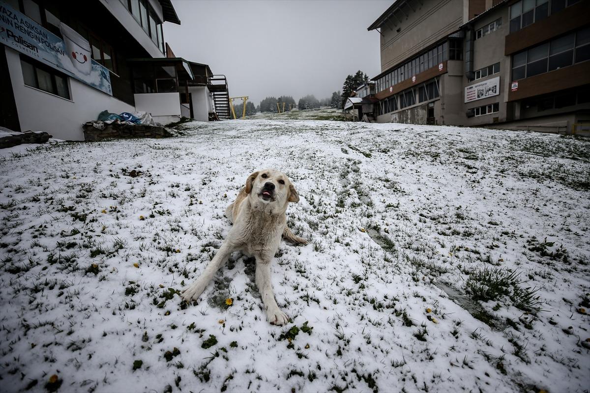 Uludağ mayısta beyaza b&uuml;r&uuml;nd&uuml;