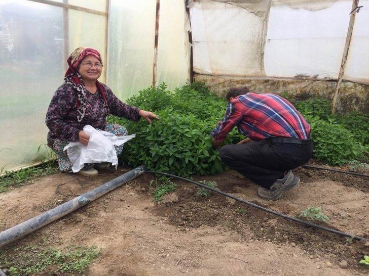 Kırklareli’de tarımsal istatistik çalışmaları TÜİK sisteminde G2