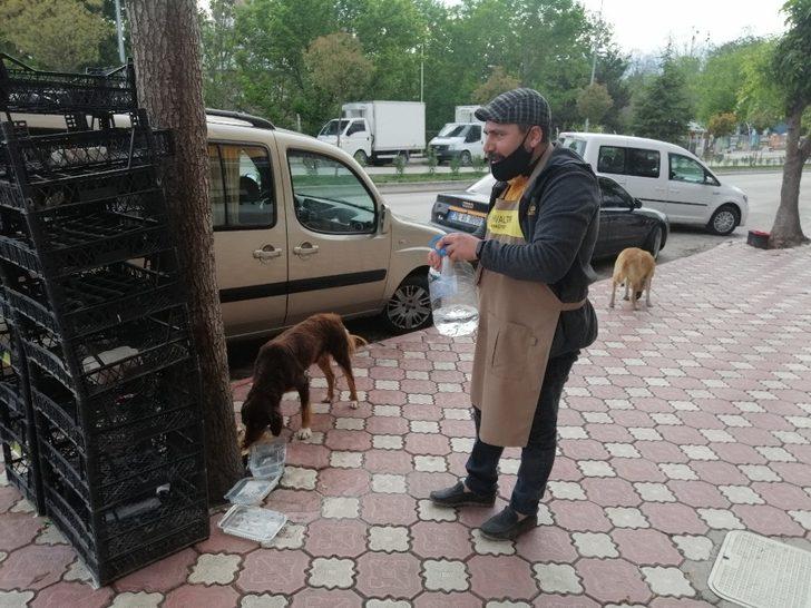Sokağa çıkma yasağında sokak hayvanlarını unutmadı G1