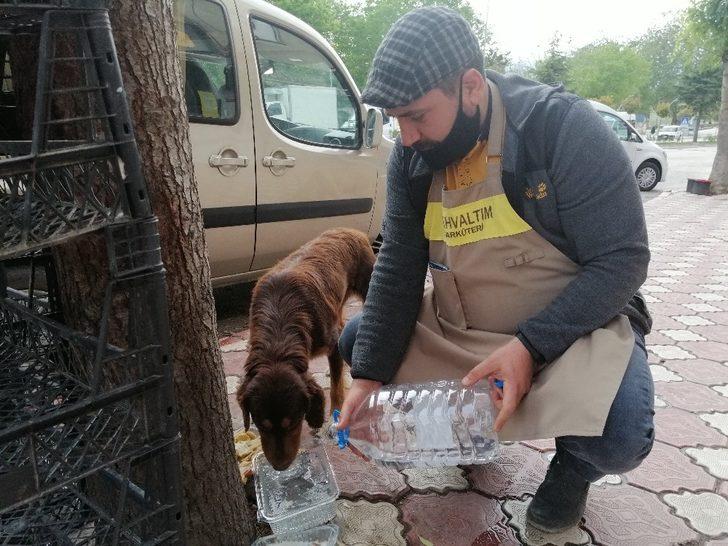 Sokağa çıkma yasağında sokak hayvanlarını unutmadı G2