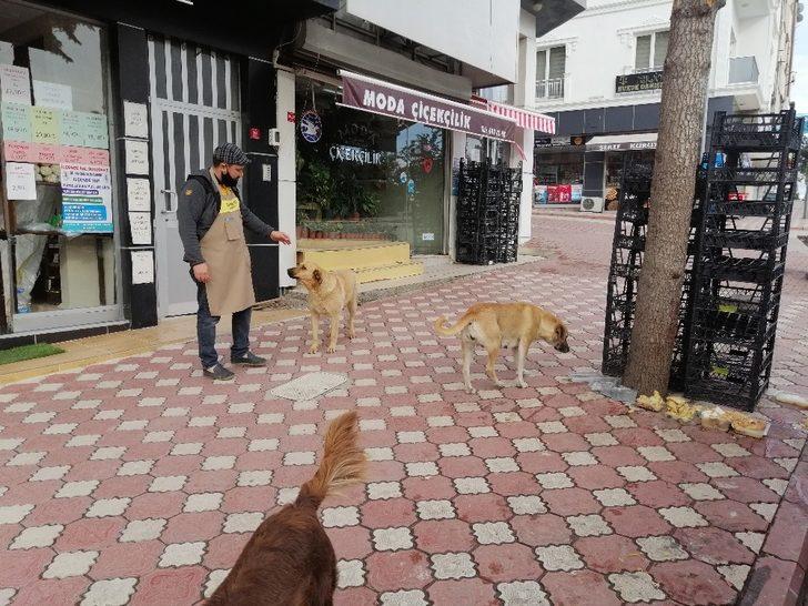 Sokağa çıkma yasağında sokak hayvanlarını unutmadı G4