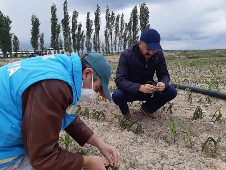 Kütahya İl Tarım Müdürü Özçalık: "Üreticimiz mağdur olmayacak" G2