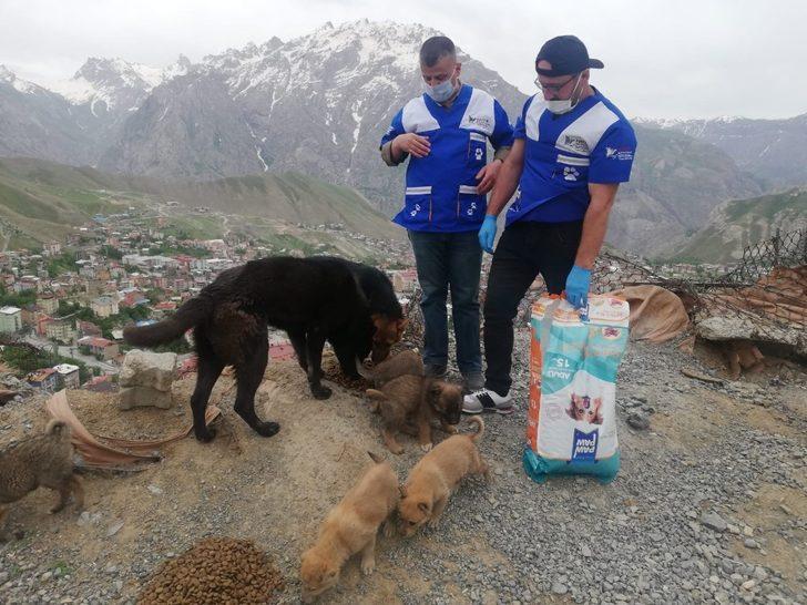 Can dostlara mama bırakıldı G1