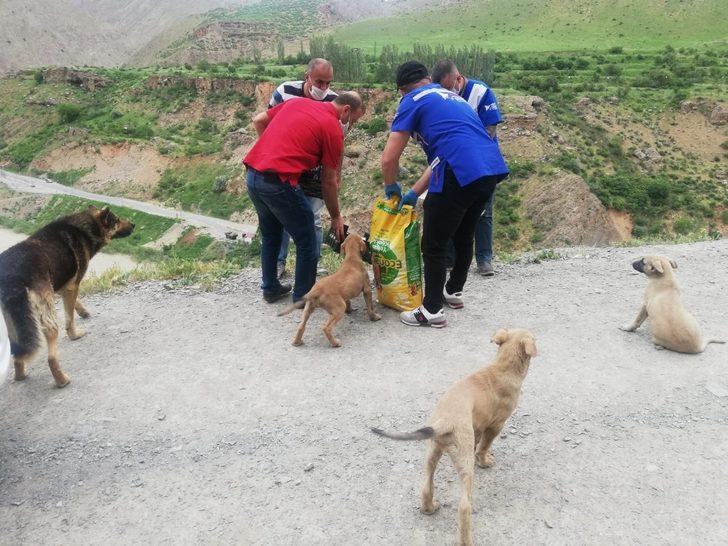 Can dostlara mama bırakıldı G2