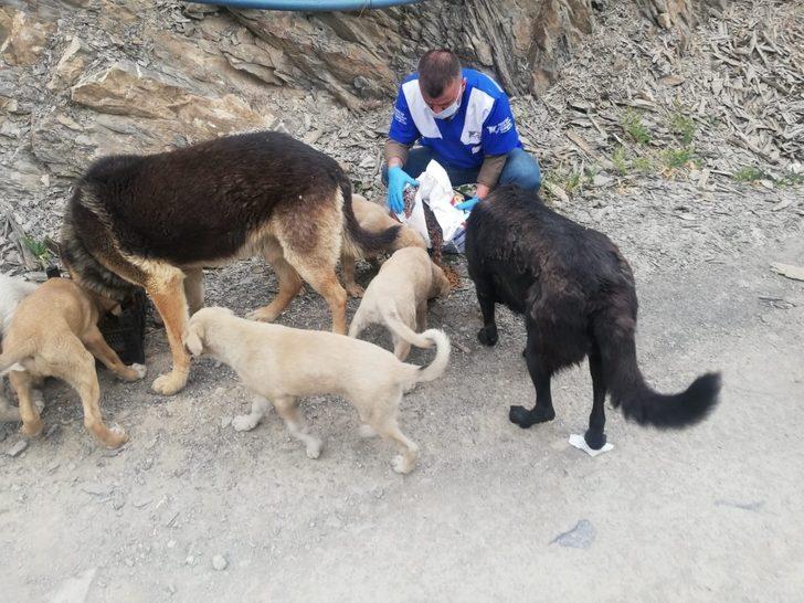 Can dostlara mama bırakıldı G3