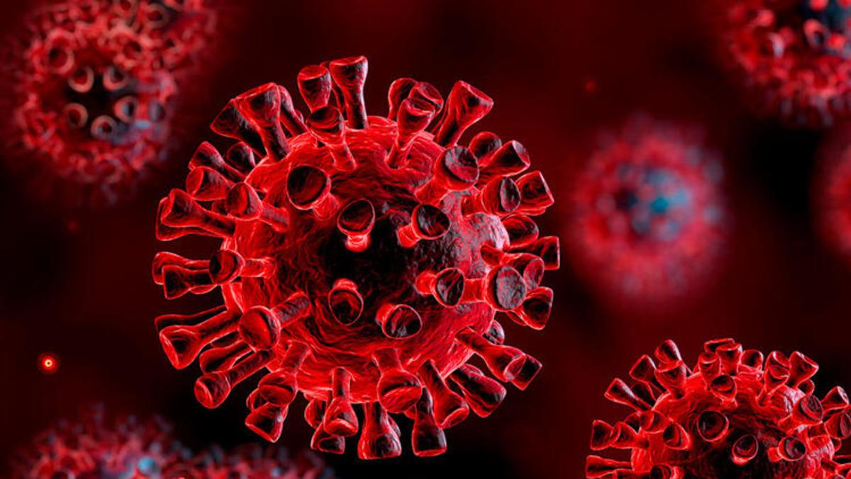 Koronavir&uuml;s b&ouml;cek ve sineklerle taşınabilir mi?