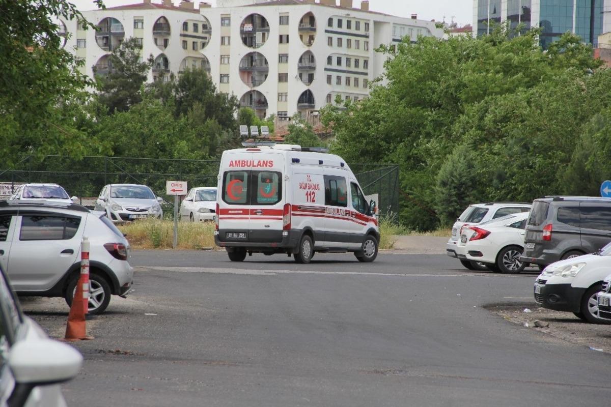 Diyarbakır&rsquo;da hayvan otlatma kavgası kanlı bitti