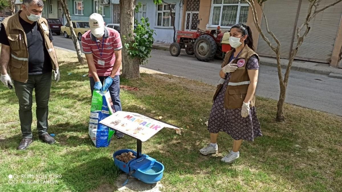 Sokak hayvanları unutulmadı