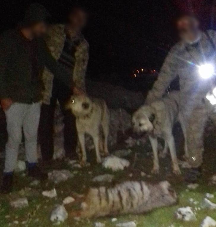 köpeklere sözler