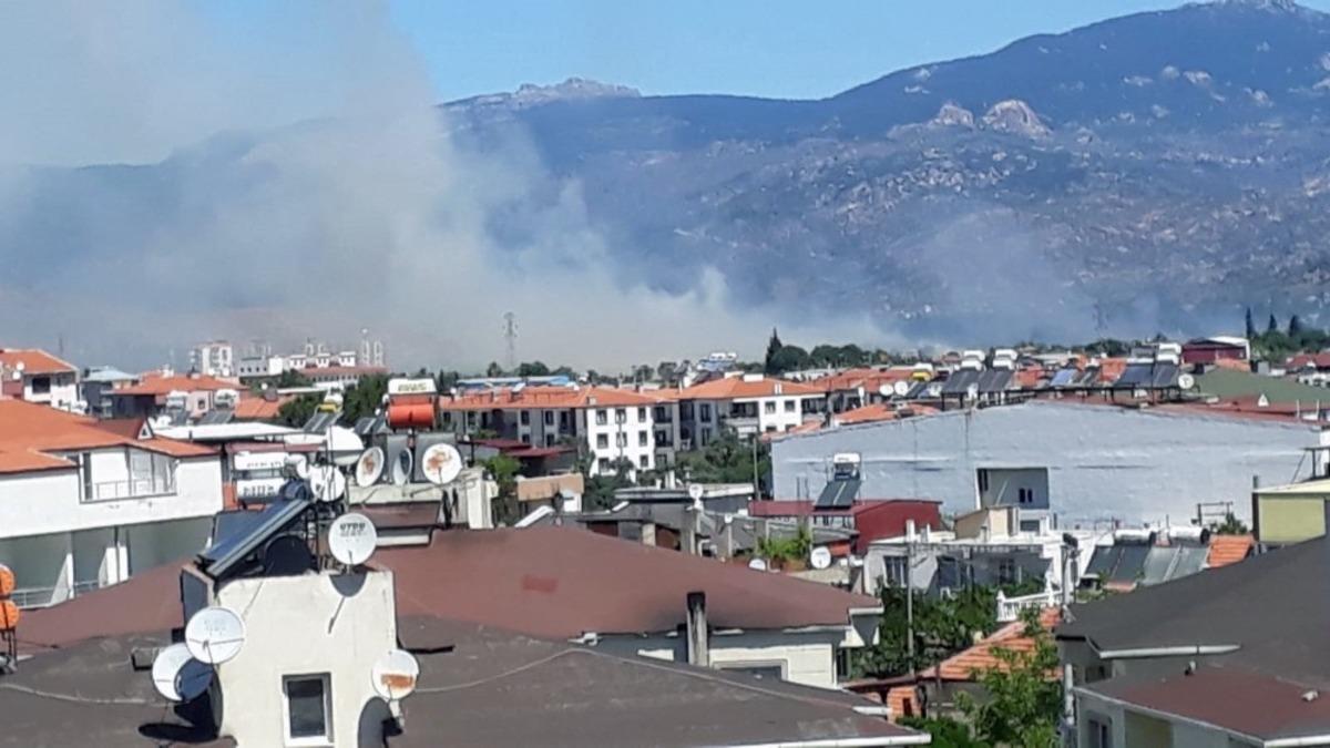 Buğday, arpa, fiğ ve yulaf ekili araziler k&uuml;l oldu