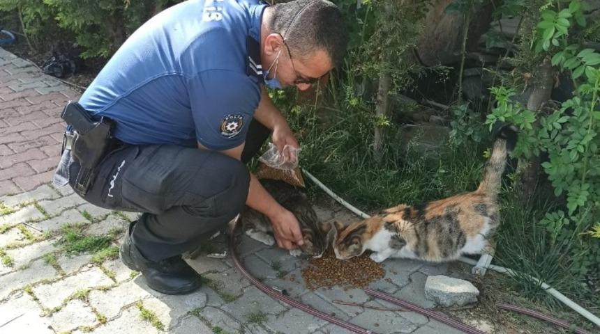 Bolu&rsquo;da, polis ekipleri  sokak hayvanlarını unutmadı