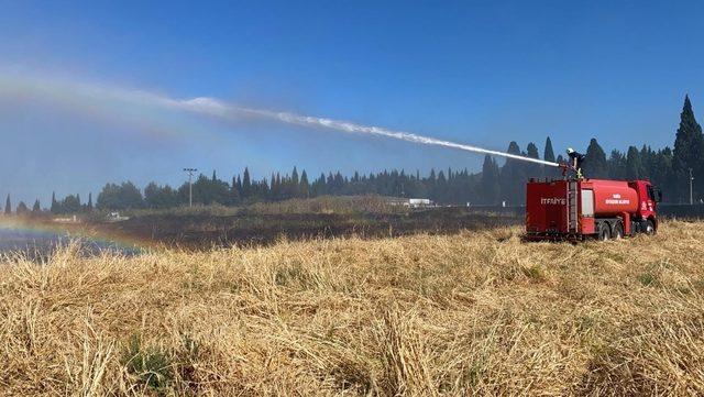 Tarım arazisinde yangın