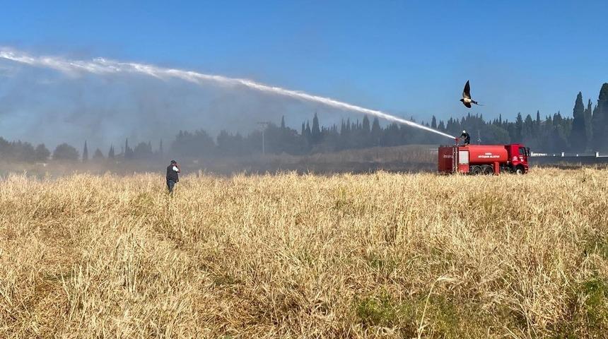 Tarım arazisinde yangın