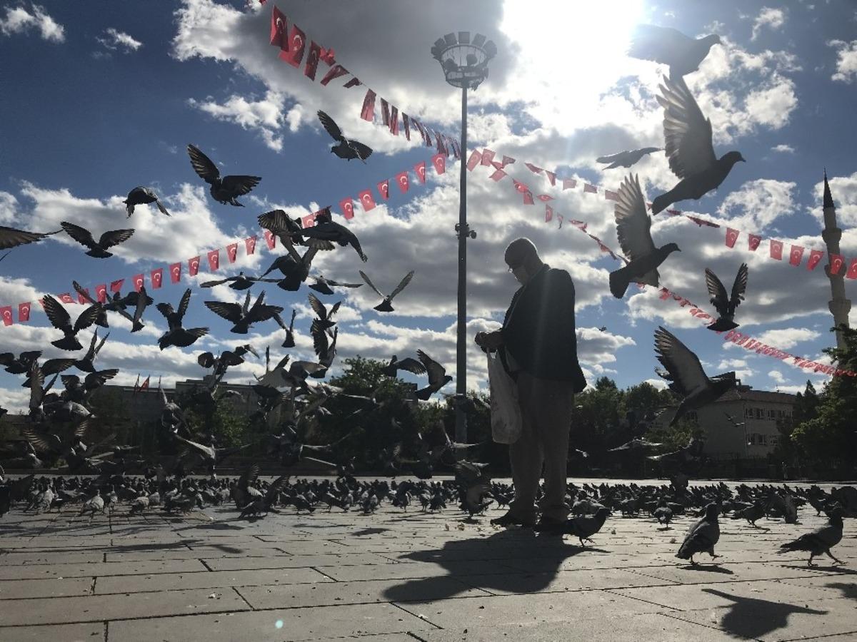 Herkes sokağa o a&ccedil; kalan g&uuml;vercinlere koştu