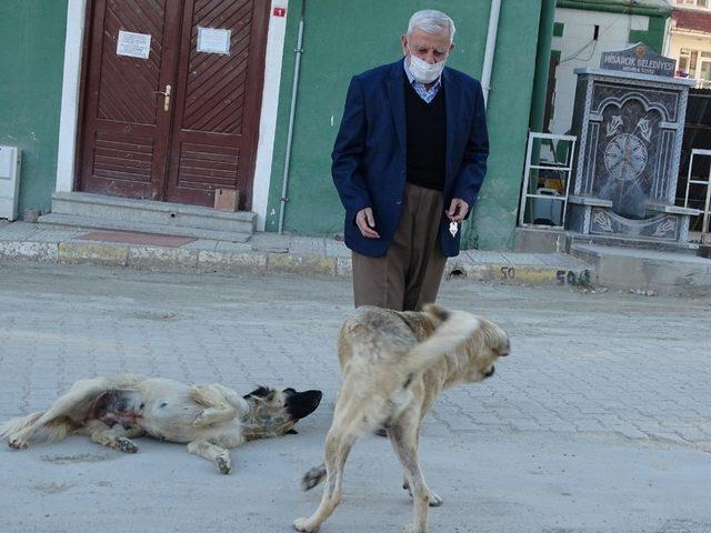 Sokağa çıkan 65 yaş üstü vatandaş sokak hayvanlarını sevdi