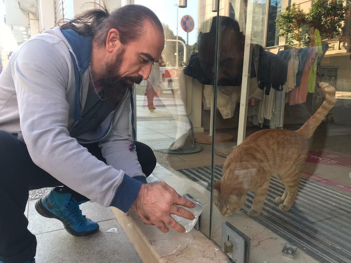 2 g&uuml;n boyunca mağazada a&ccedil; ve susuz kalan kedi kurtarıldı