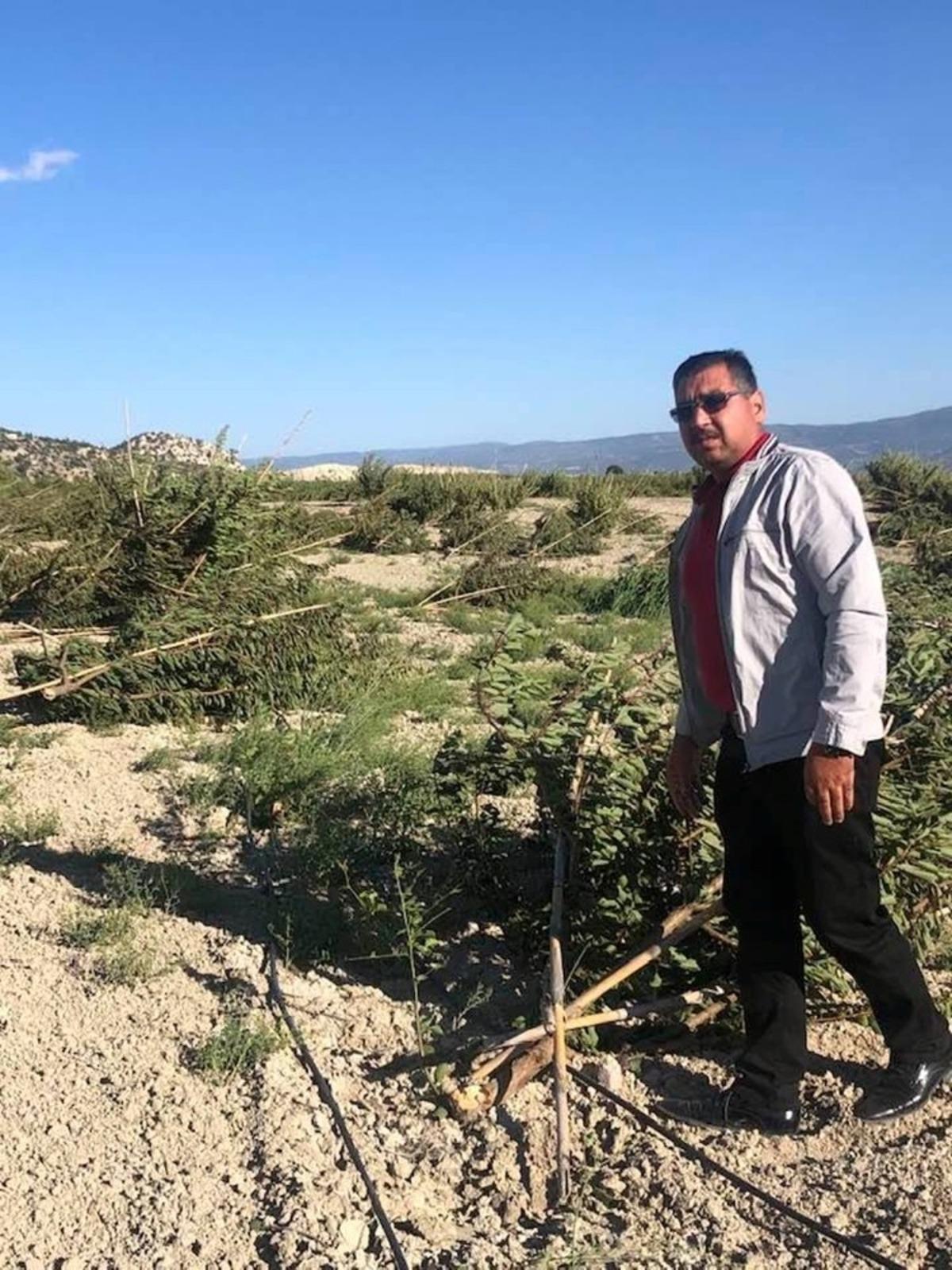 Mut&rsquo;ta fırtına meyve ağa&ccedil;larına zarar verdi