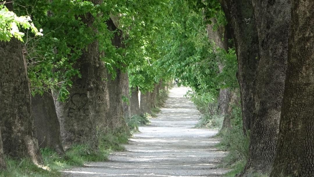 T&uuml;rkiye&rsquo;nin her yerinden bu yolda y&uuml;r&uuml;mek i&ccedil;in geliyorlar!